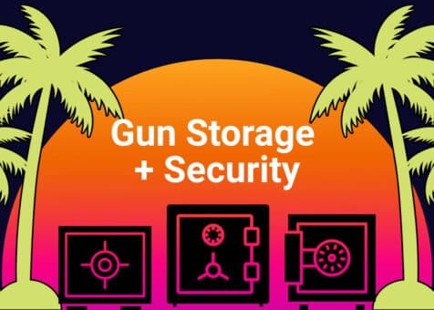 Gun Storage & Security