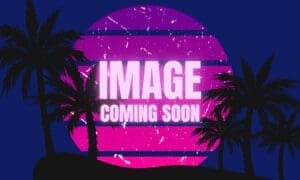 Image coming soon placeholder with retro sunset and palm trees